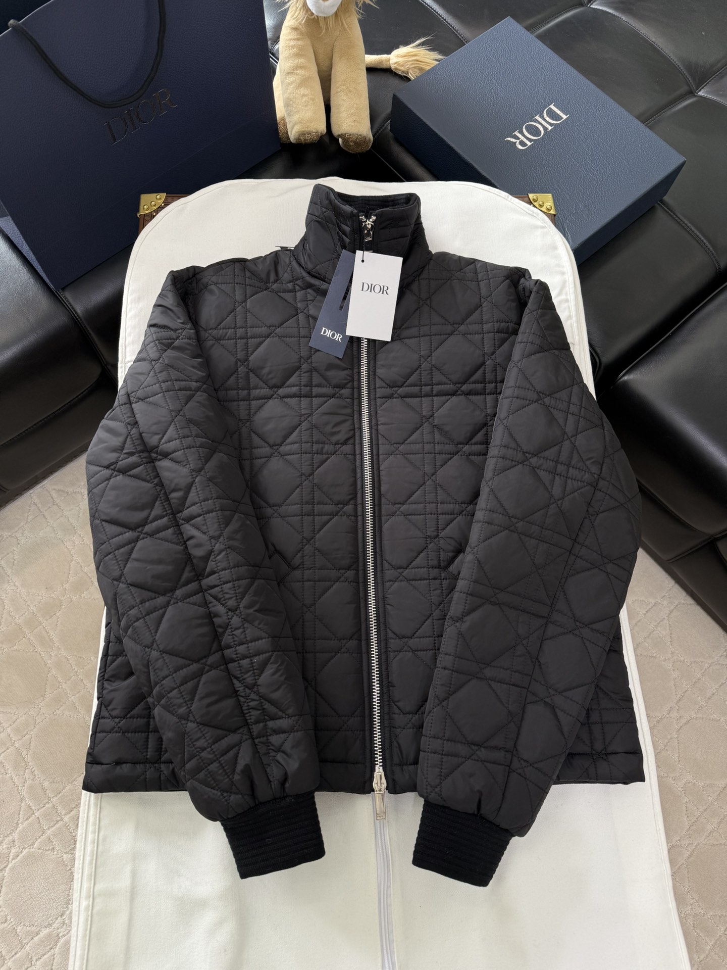 디올 24년 FW 신상 자켓