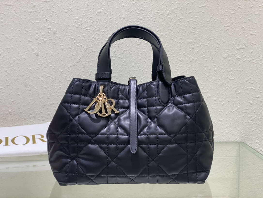 디올 뚜주흐 백 미디엄