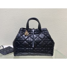 디올 뚜주흐 백 라지