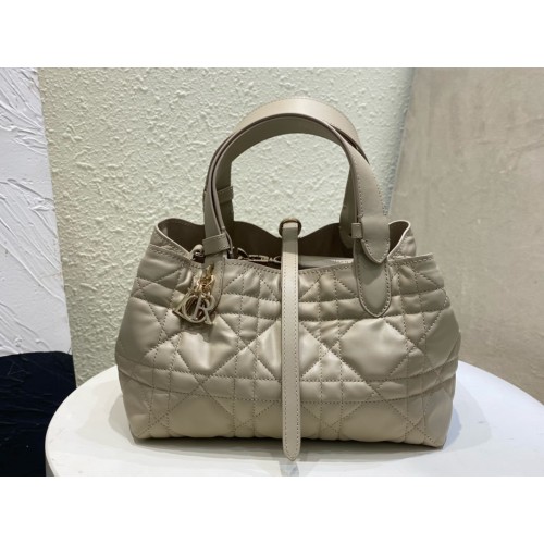 디올 뚜주흐 백 스몰