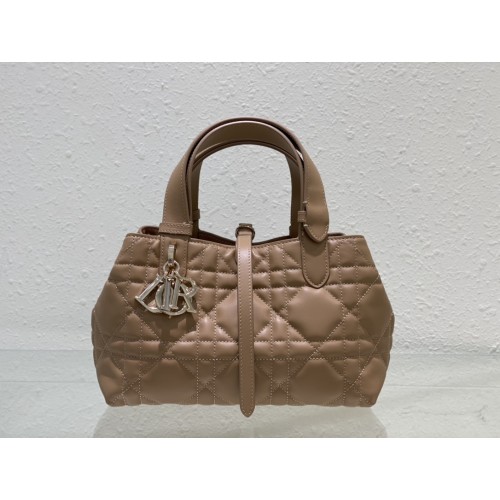 디올 뚜주흐 백 스몰