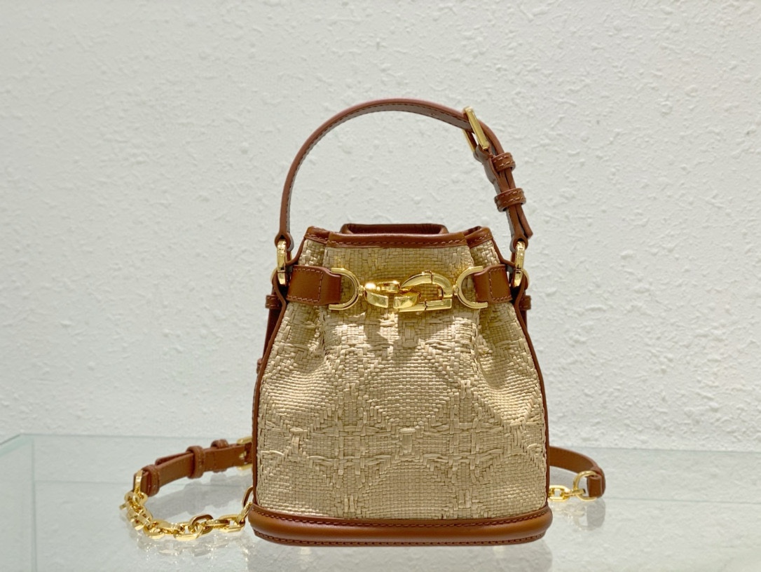 디올 CEST 스몰 버킷백