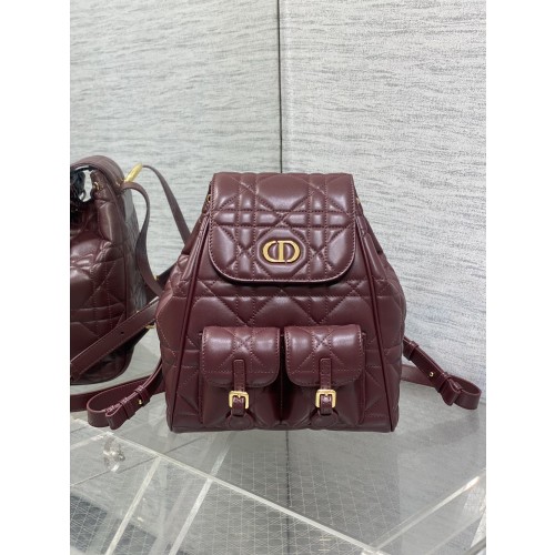 디올 카로 미디움 백팩