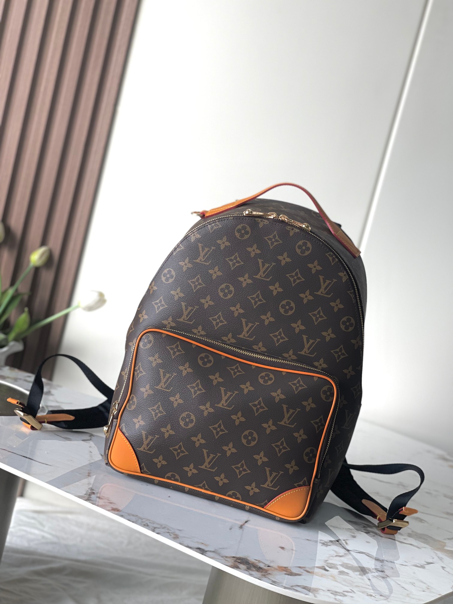 루이비통 디스커버리 백팩