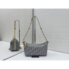 디올 Diorstar 체인 호보백