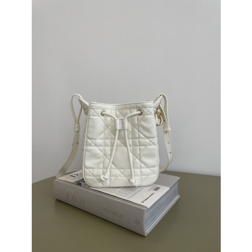 디올 D-Motion 스몰 백