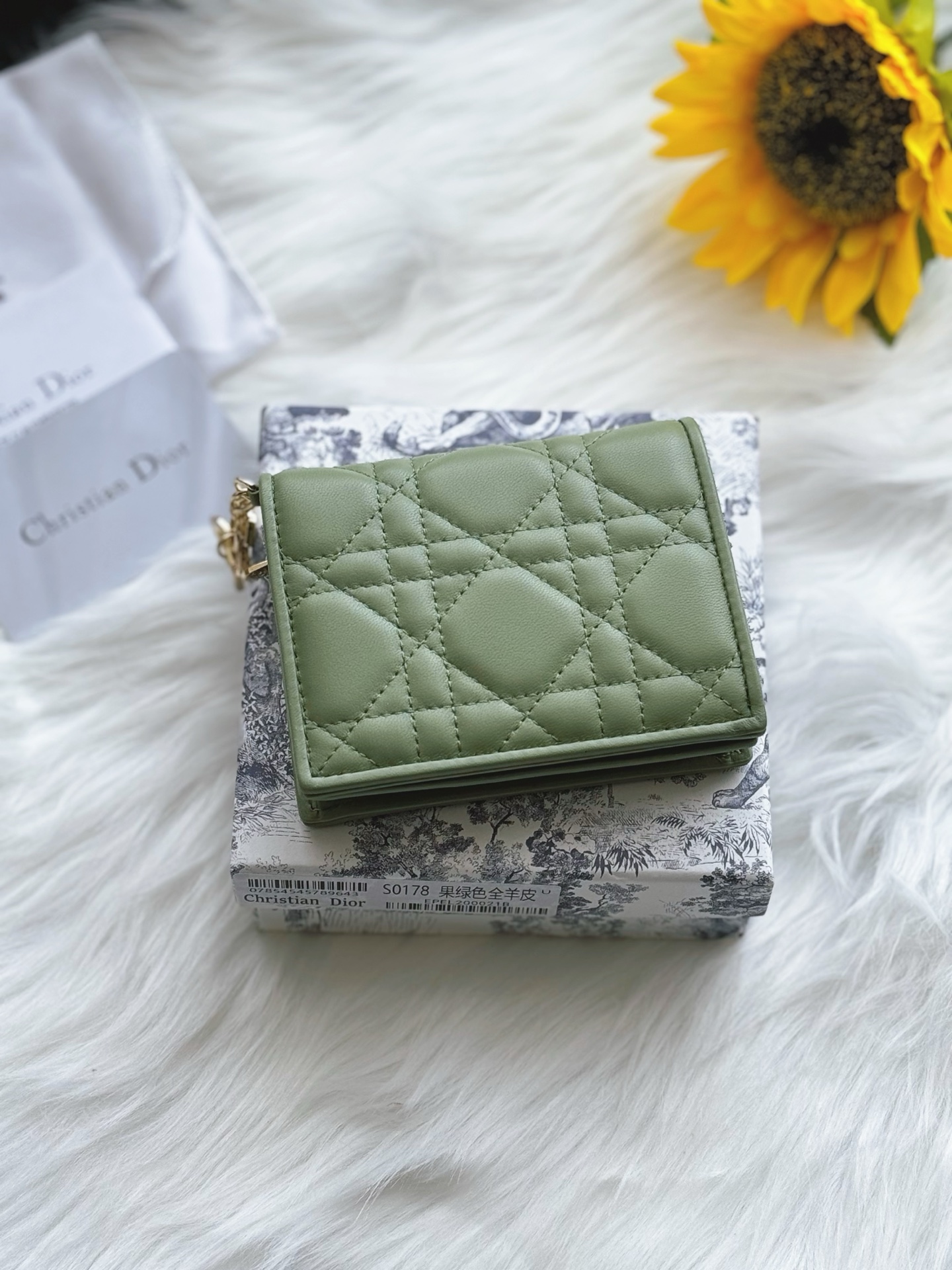 디올 Lady Dior Gardenia 미니 지갑