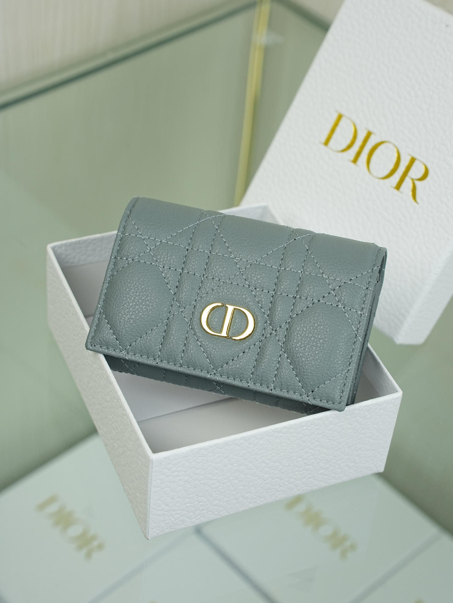 디올 Caro Glycine 지갑