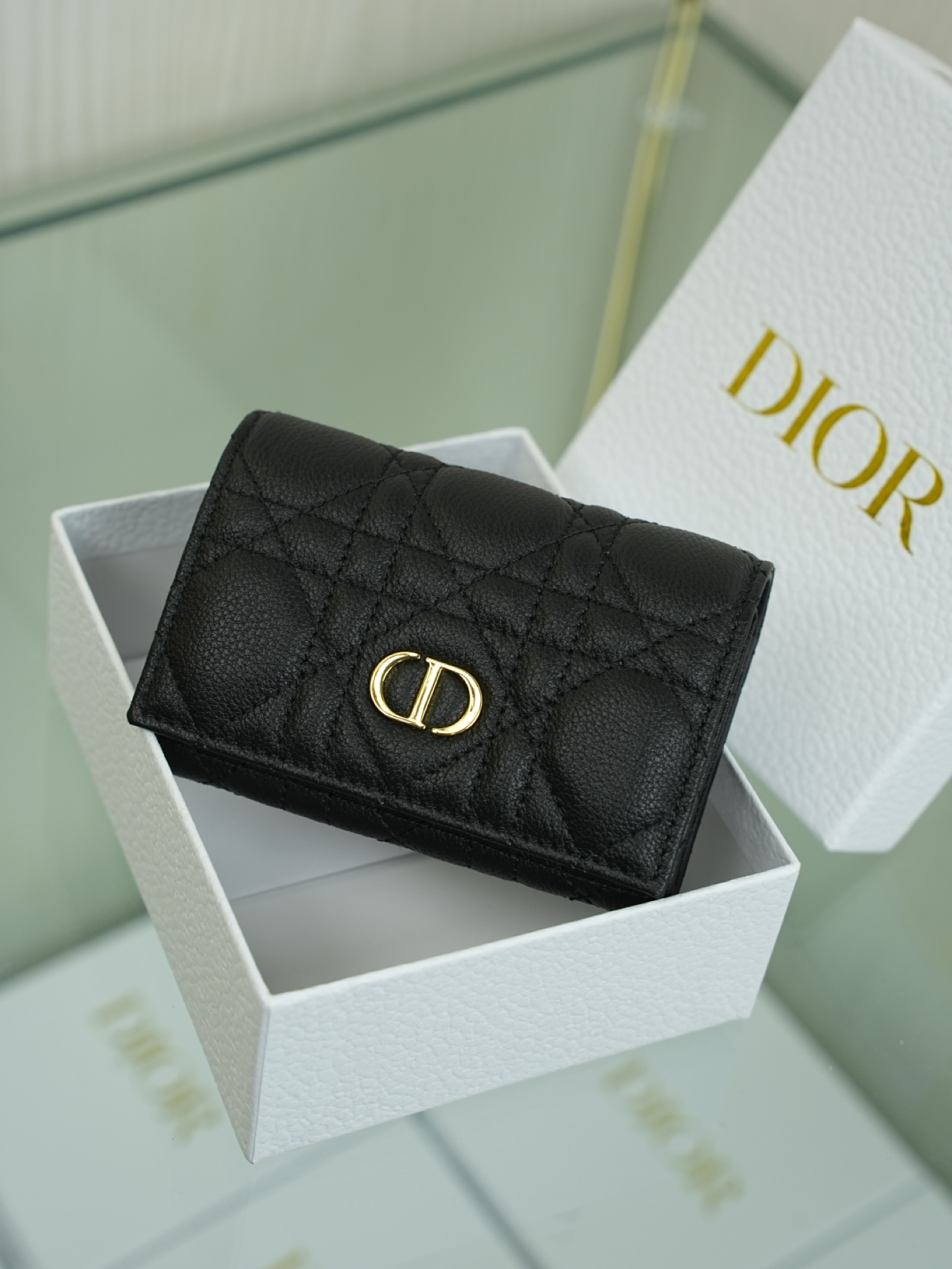 디올 Caro Glycine 지갑