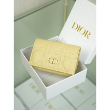 디올 Caro Glycine 지갑