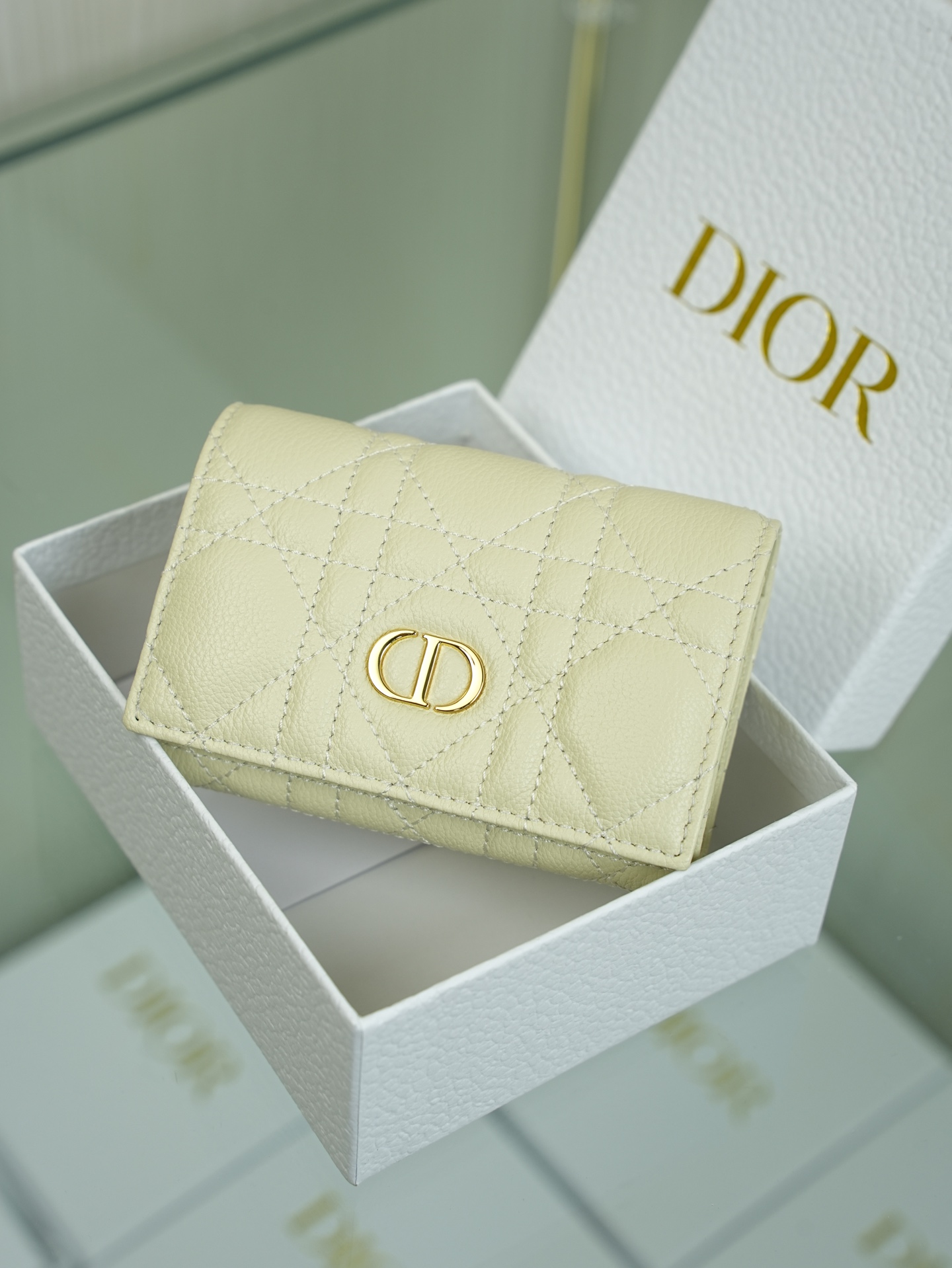 디올 Caro Glycine 지갑