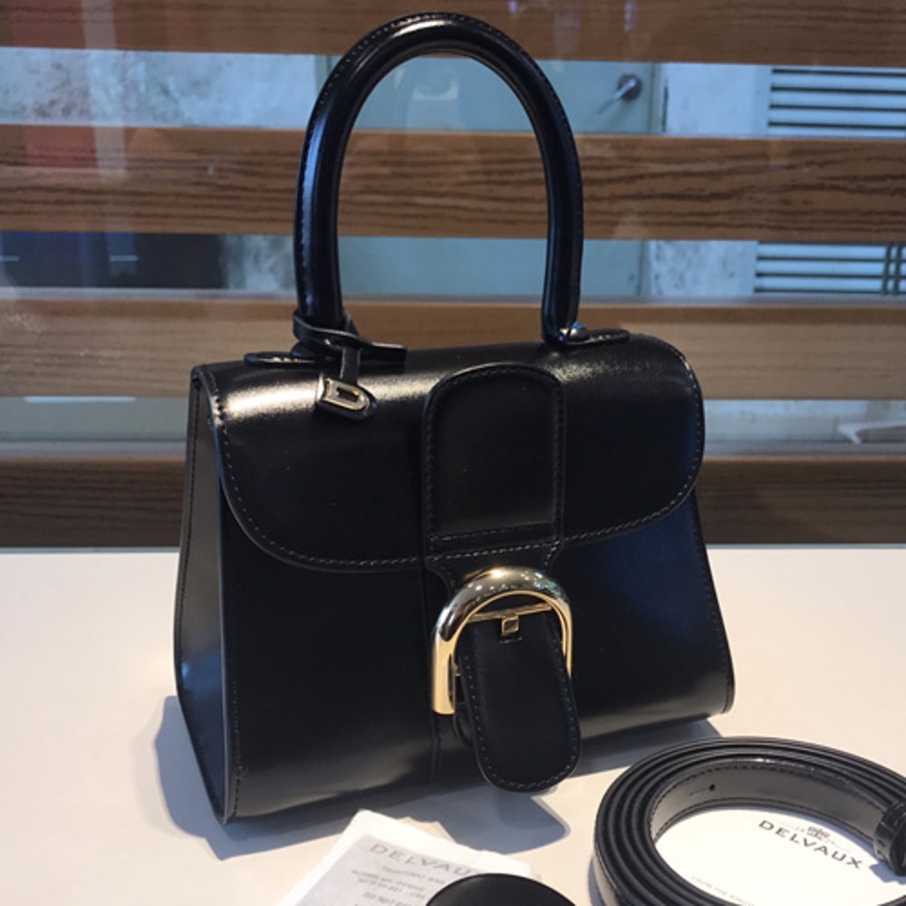 델보 브리앙 박스백 미니 금장 20cm